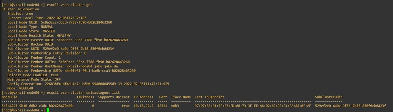 vSAN CLI Output